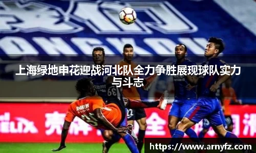 zoty中欧